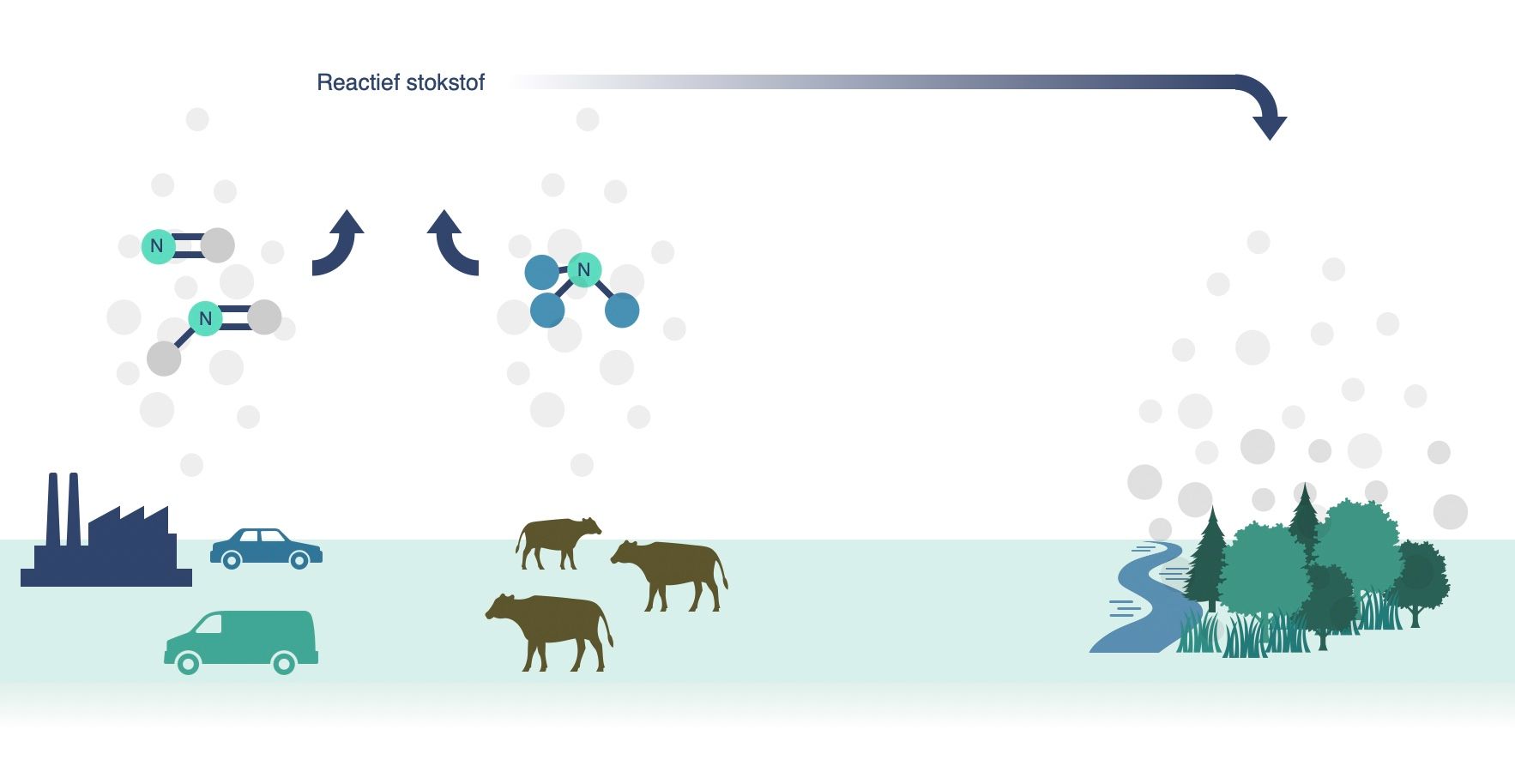 Stikstofprobleem infographic ecogoggle